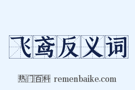 飞鸢反义词是什么意思的图片